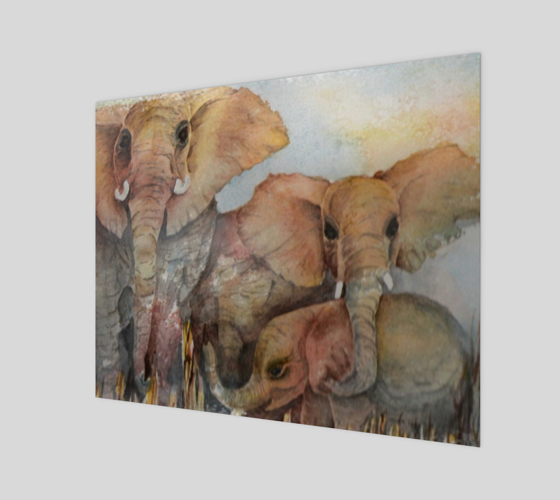 Elephant Family preview #1
