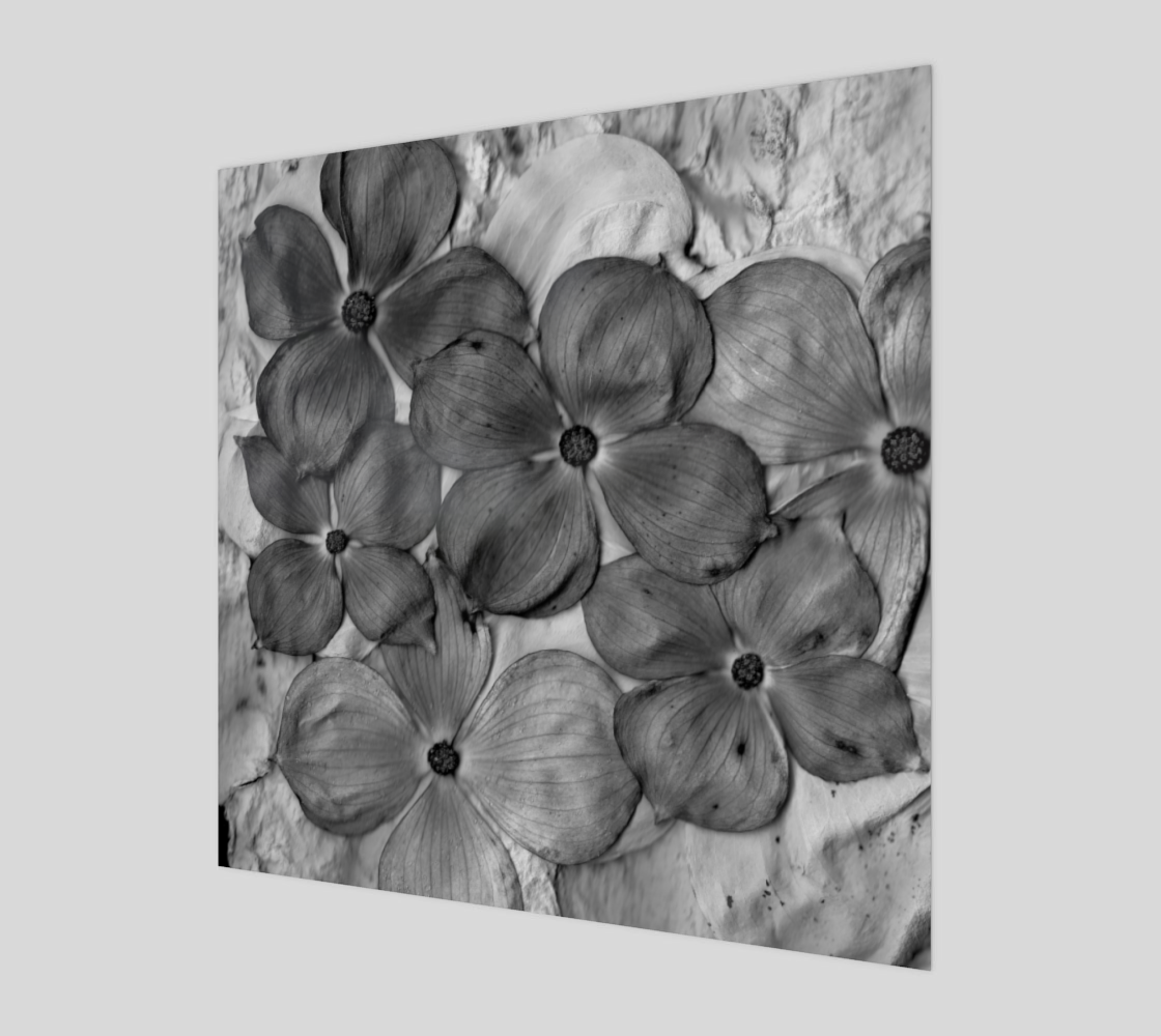 Aperçu de DIGITAL PRINT - MONOCHROME DOGWOOD BLOSSOMS - SHADES OF GRAY WALL ART HOME DECOR