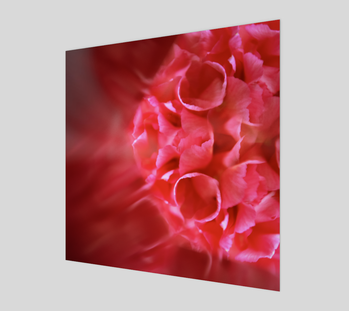 Aperçu de Floral Carnation Orb:  Kaleidoscope Photography