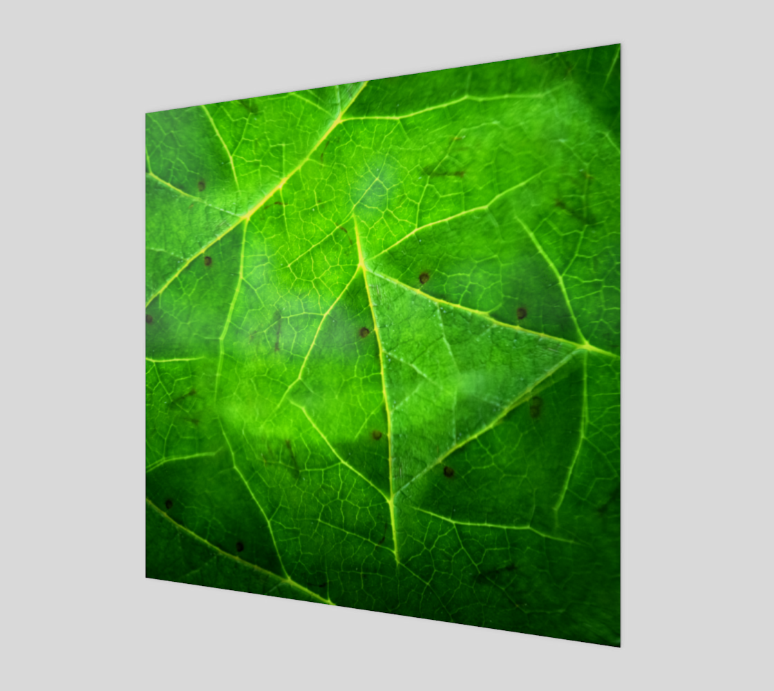 Aperçu de Macro Leaf: Kaleidoscope Photography