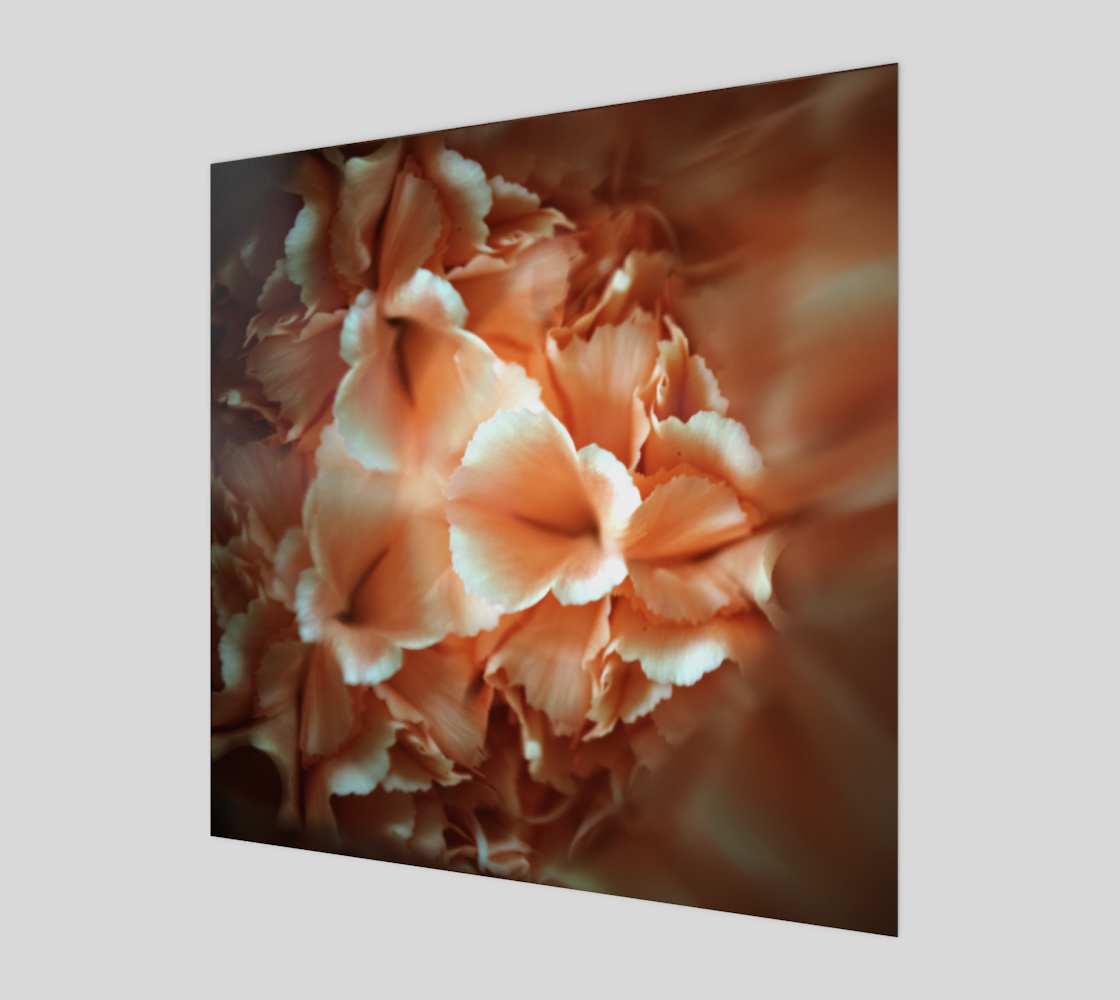 Aperçu de Floral Carnation (Peach) Orb: KaleidoscopePhotography