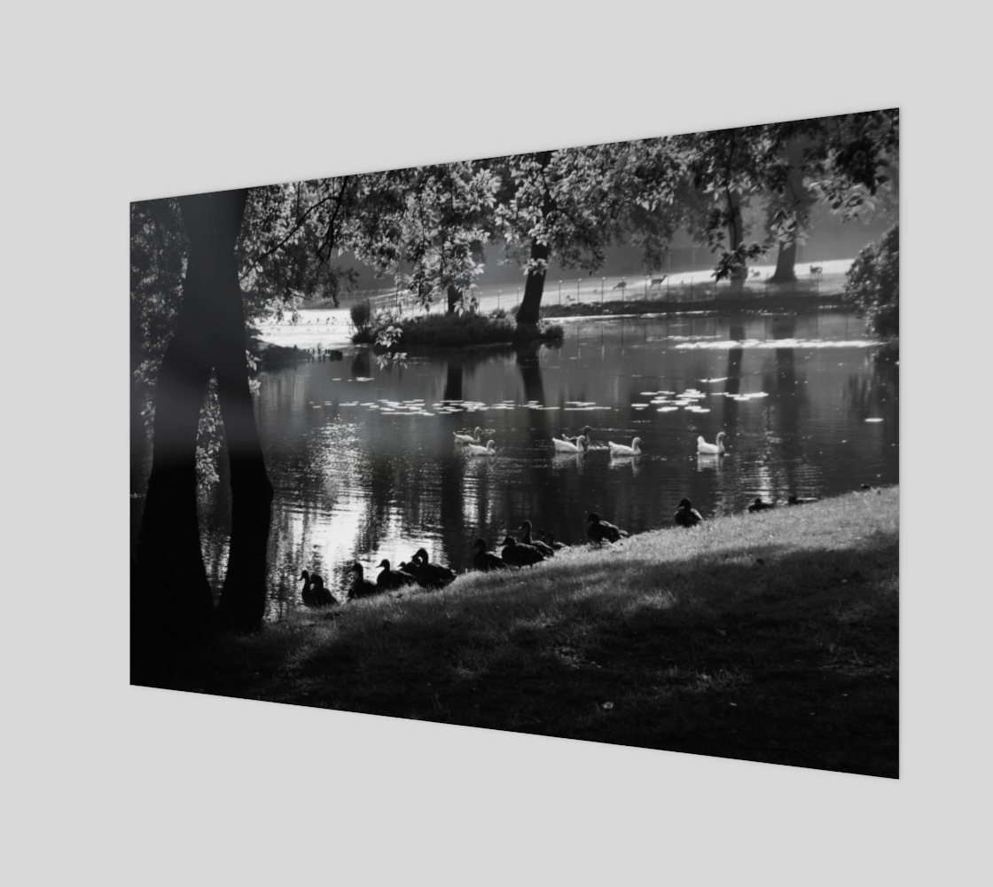 Park Life Wall Art preview #1