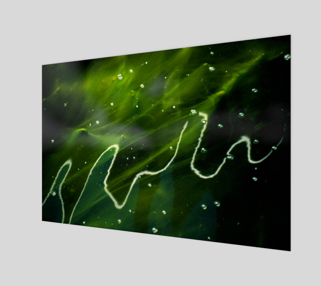 Green Algae and Water Wood Print preview #1