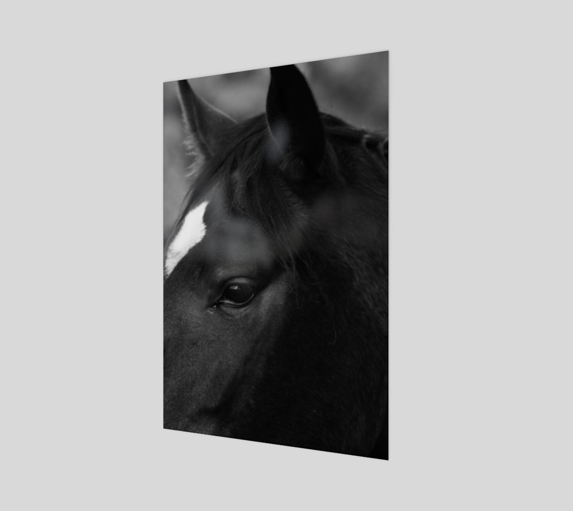 Horse Poster Print preview