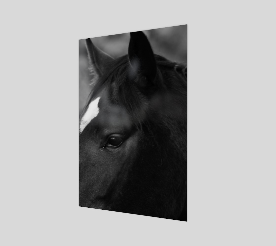 Horse Wood Print preview