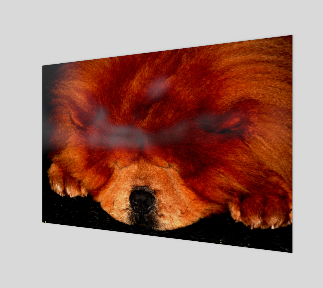 Sleeping Chow Chow Wood Print preview