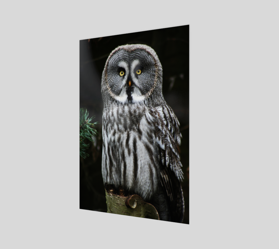 The Great Grey Owl Art Print preview