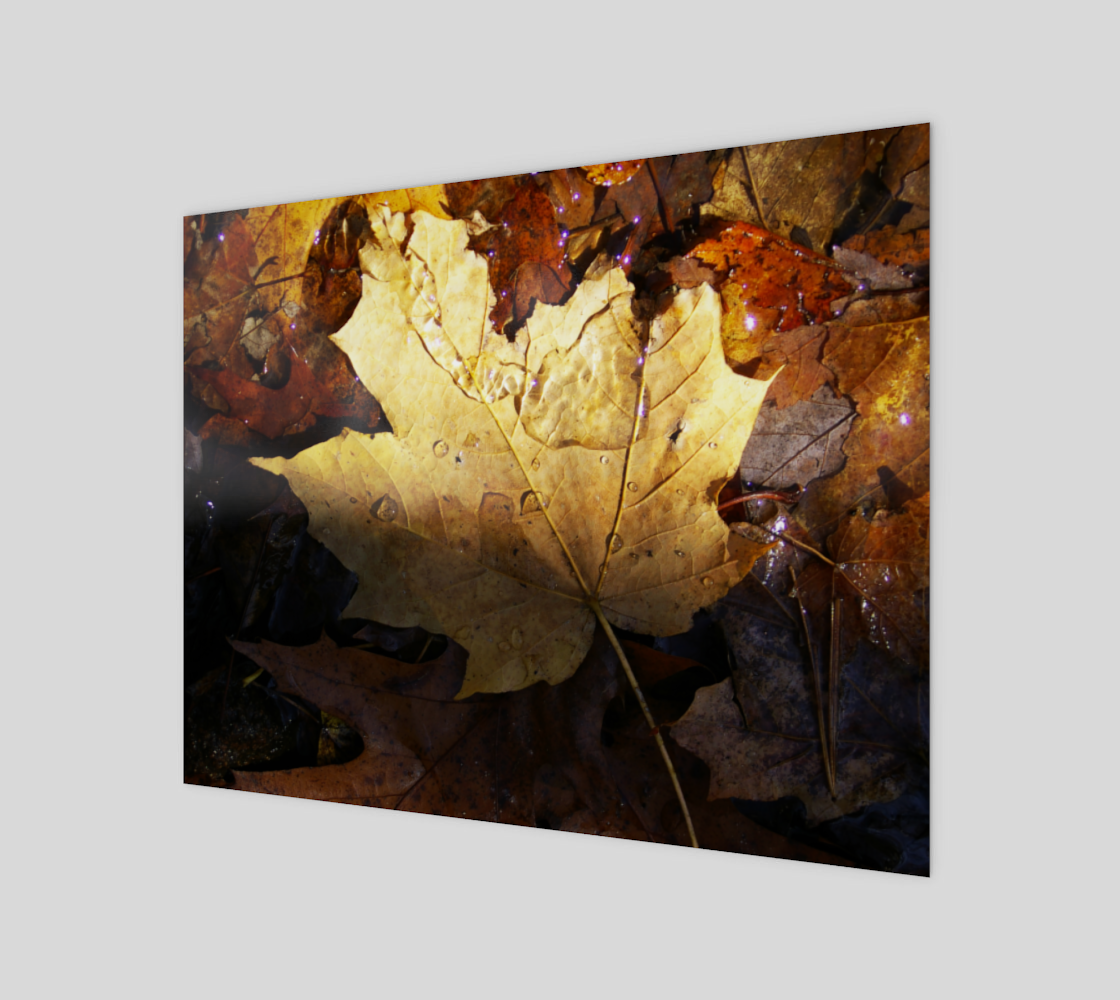 wet leaf preview