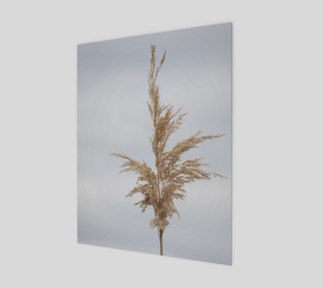 grass and sky preview #1