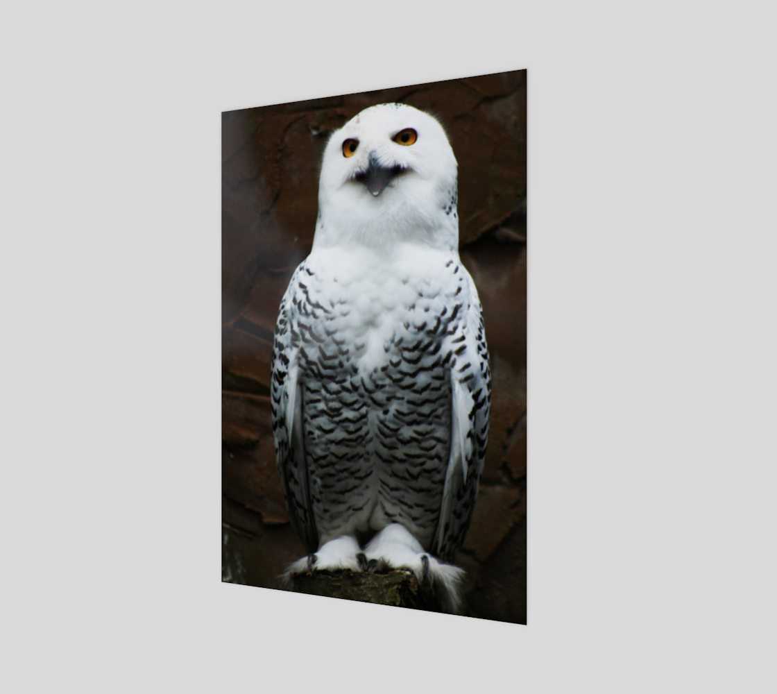 Snowy Owl Art Print preview