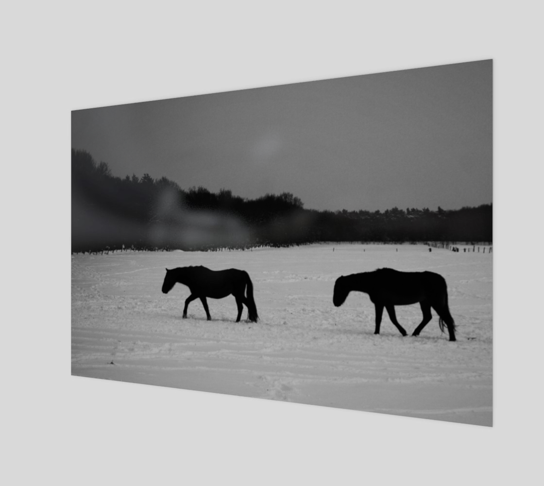 Horses On Snow Art Print preview