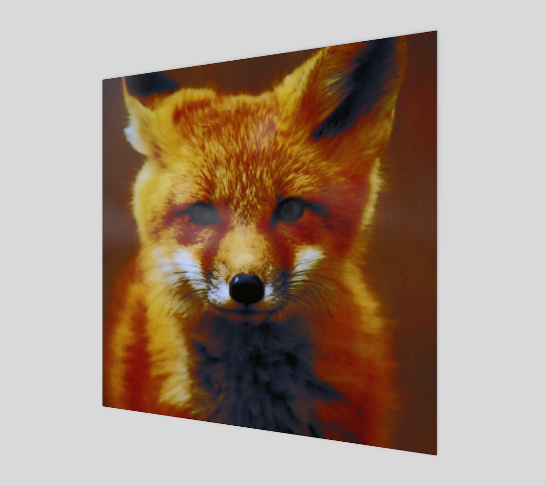 Fox preview