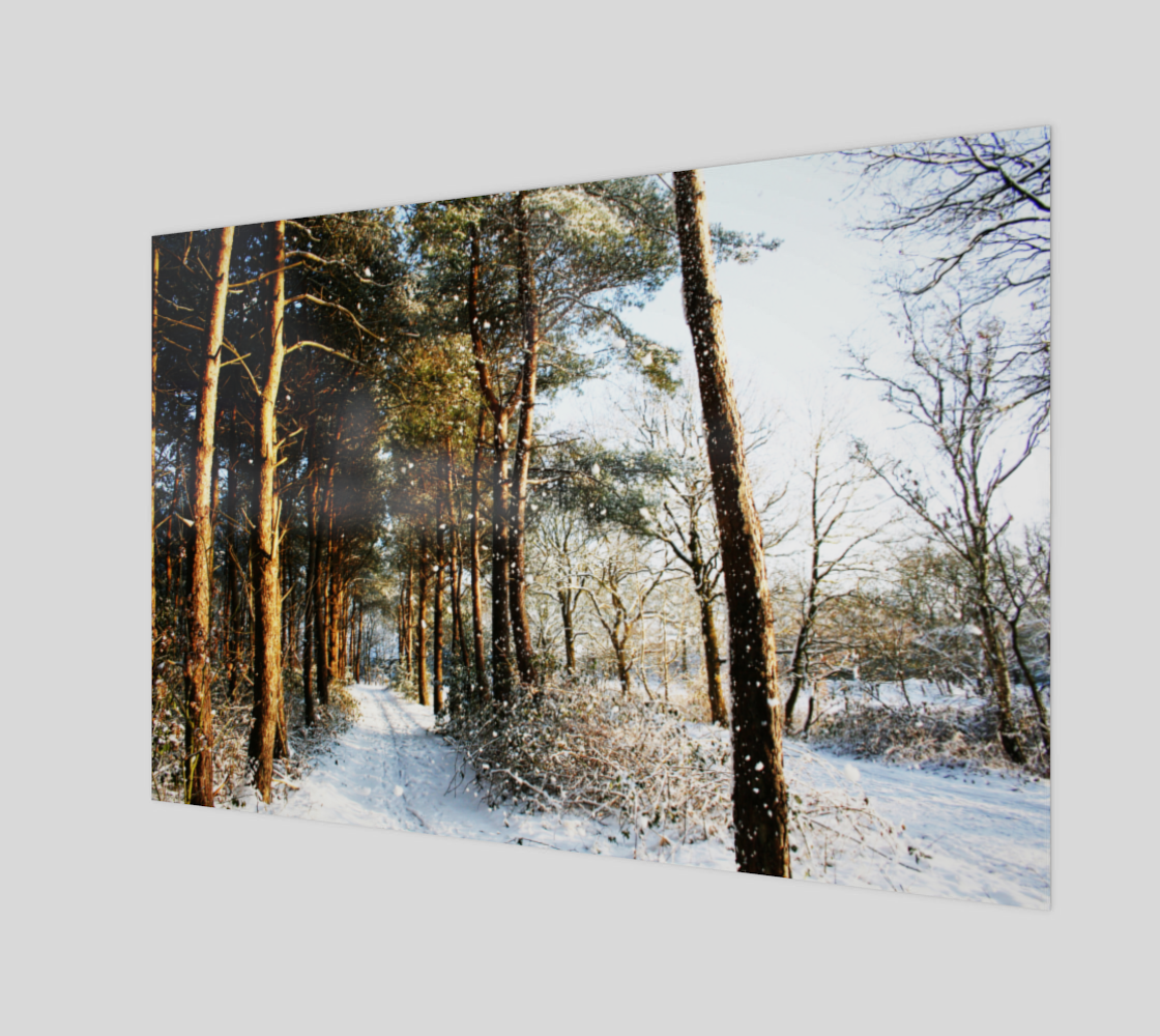 Forest Snow Scene Poster Print preview
