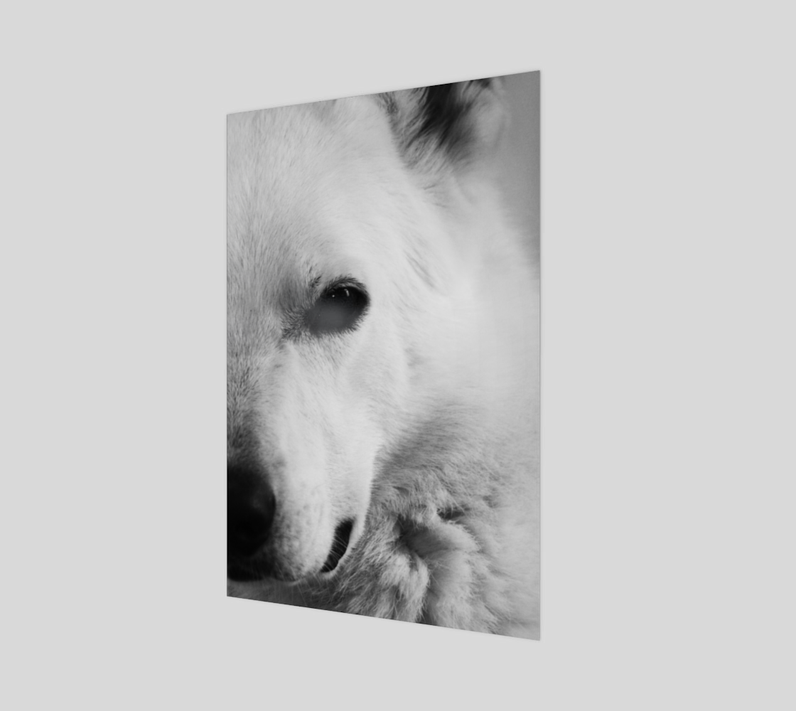 White German Shepherd Wood Print preview #1