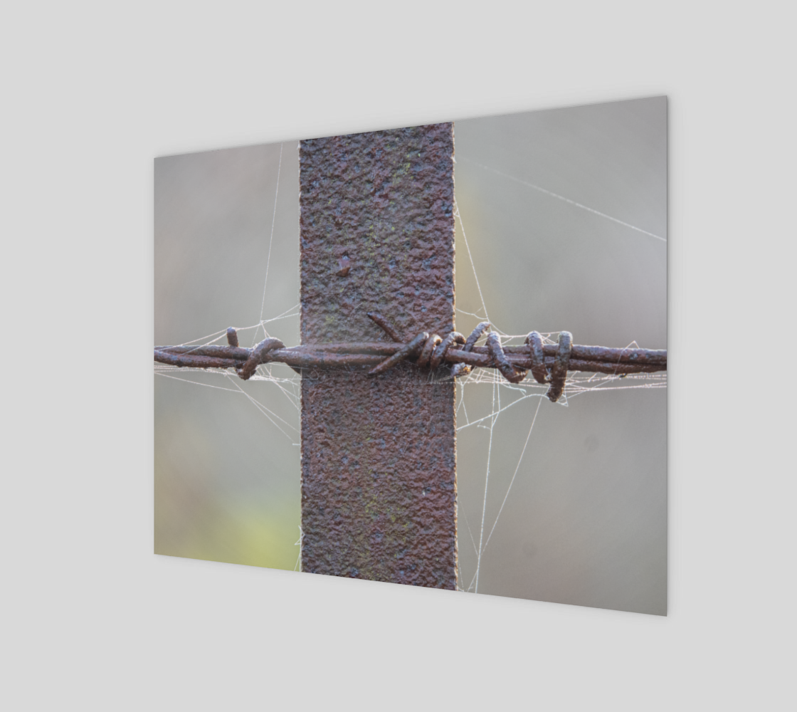 Barbed fence preview
