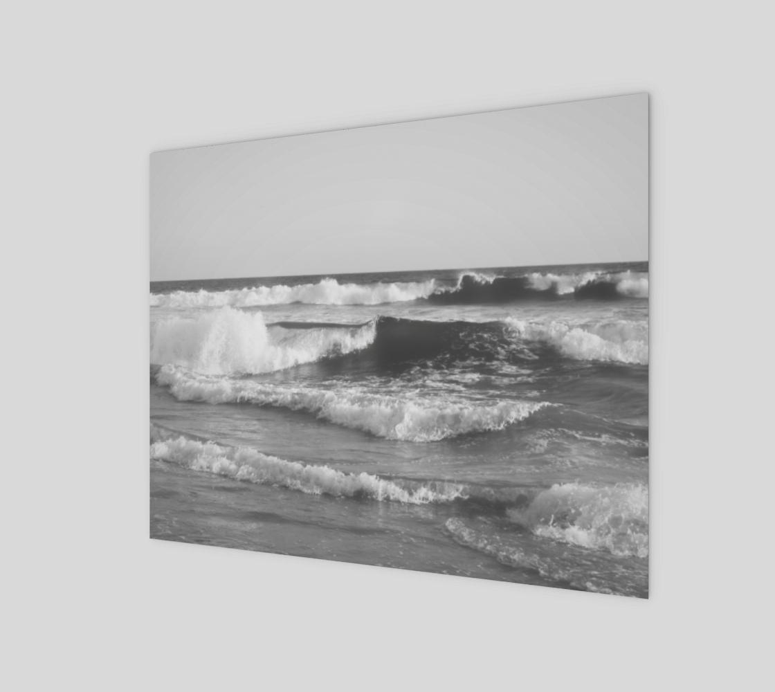 Huntington Beach Waves in Black and White 3D preview
