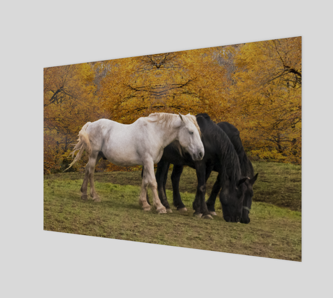 Horses in Fall preview #1