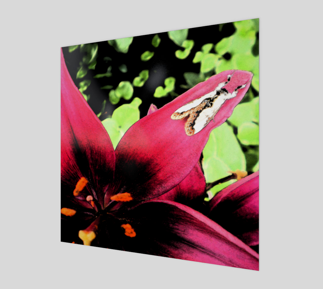 Red Lily & Moth Art Print preview