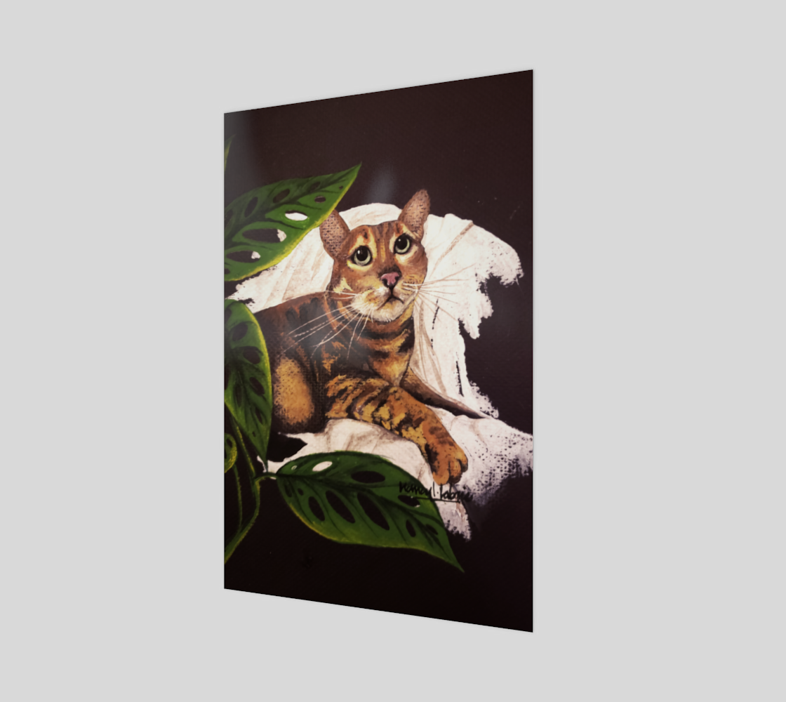 Gucci preview #1