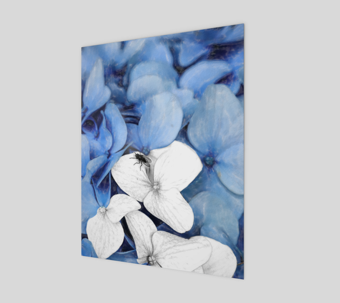 Country Fly Blue Hydrangea Watercolor preview