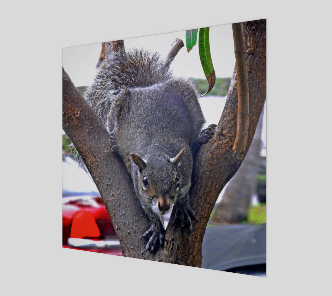 Very Best Backyard Neighbor Art Print preview