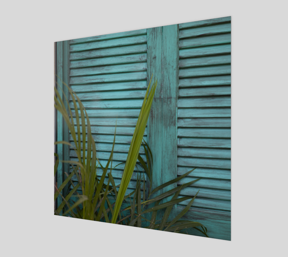 Shutters in Mexico preview