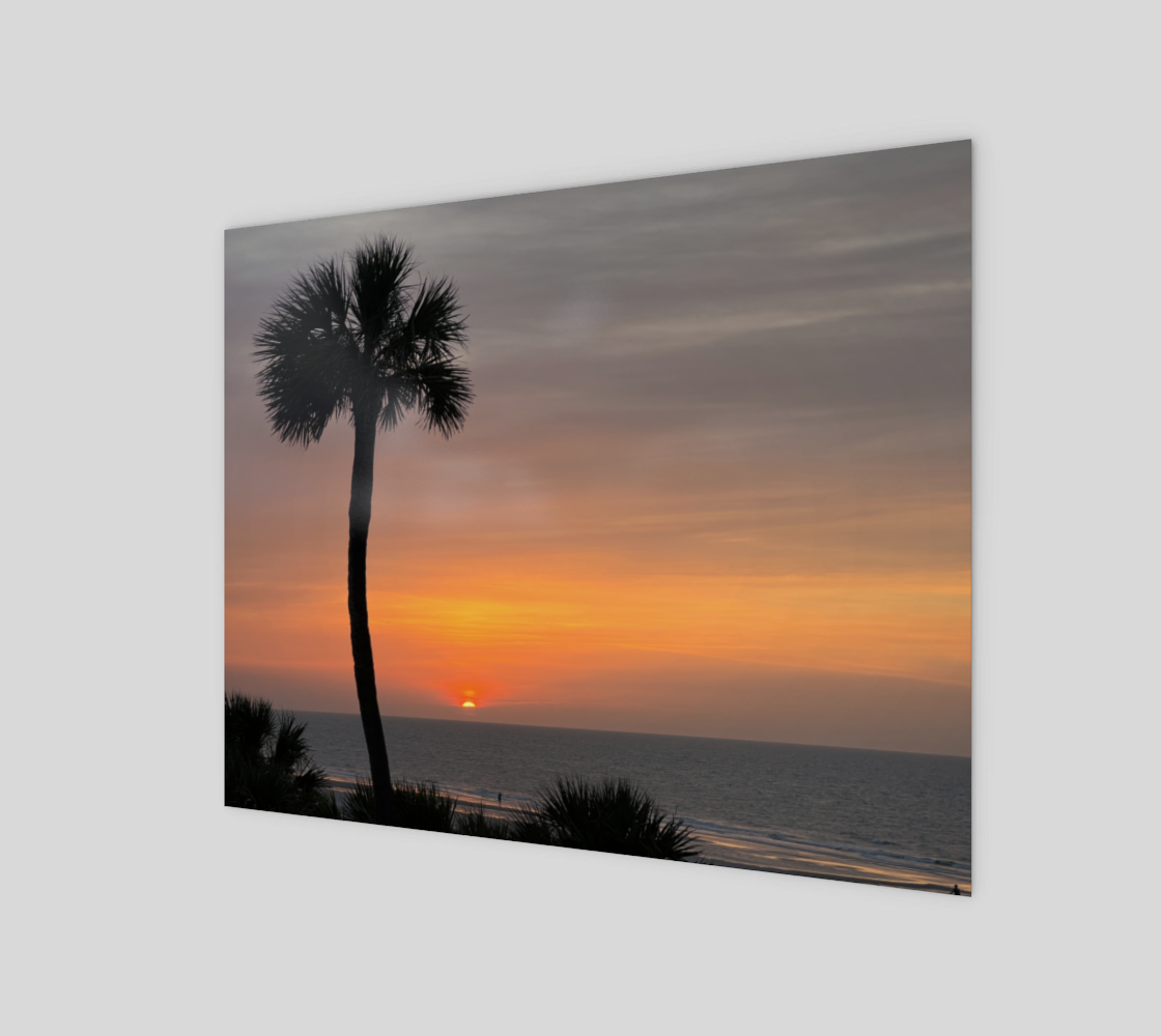 Palm Tree in Silhouette at Sunrise preview #1