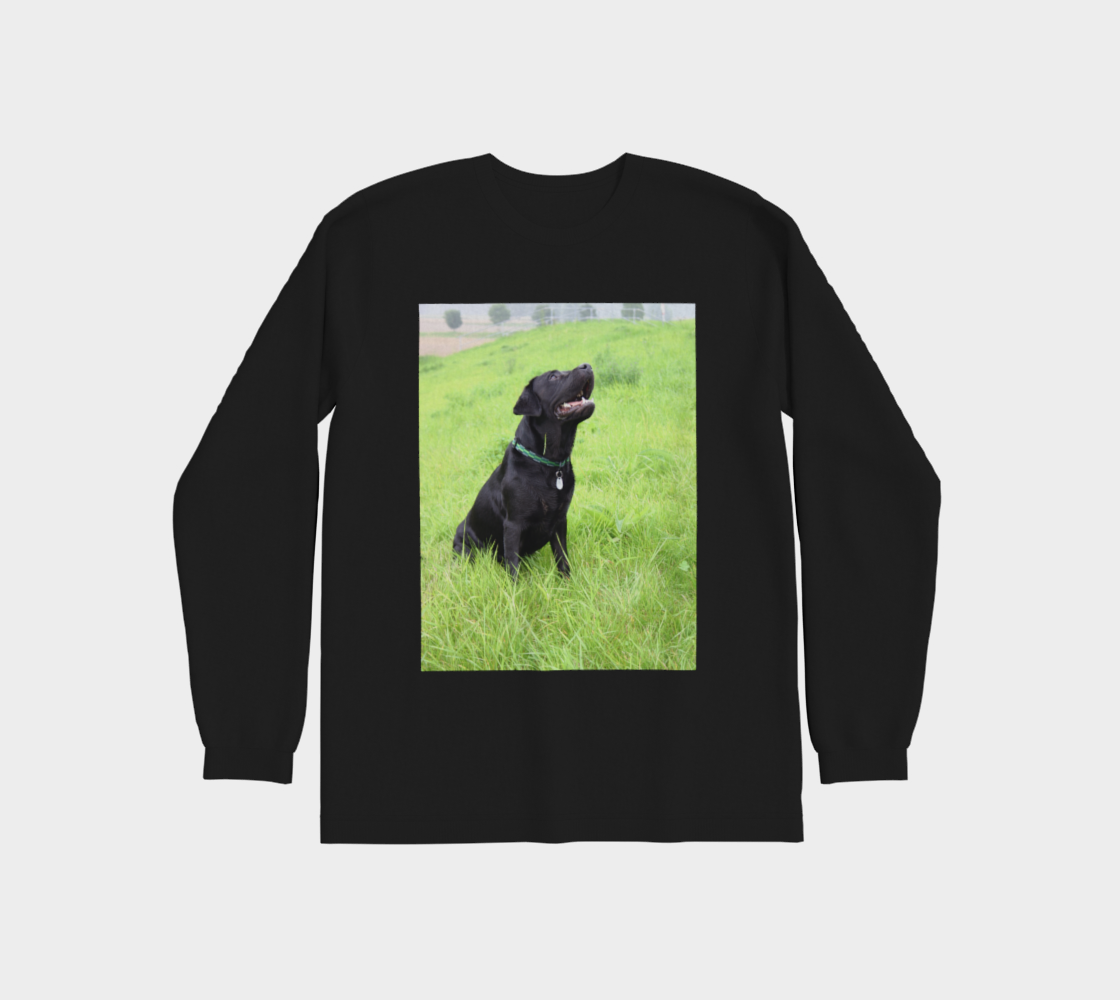 Labrador Retriever black lab sitting in grass preview