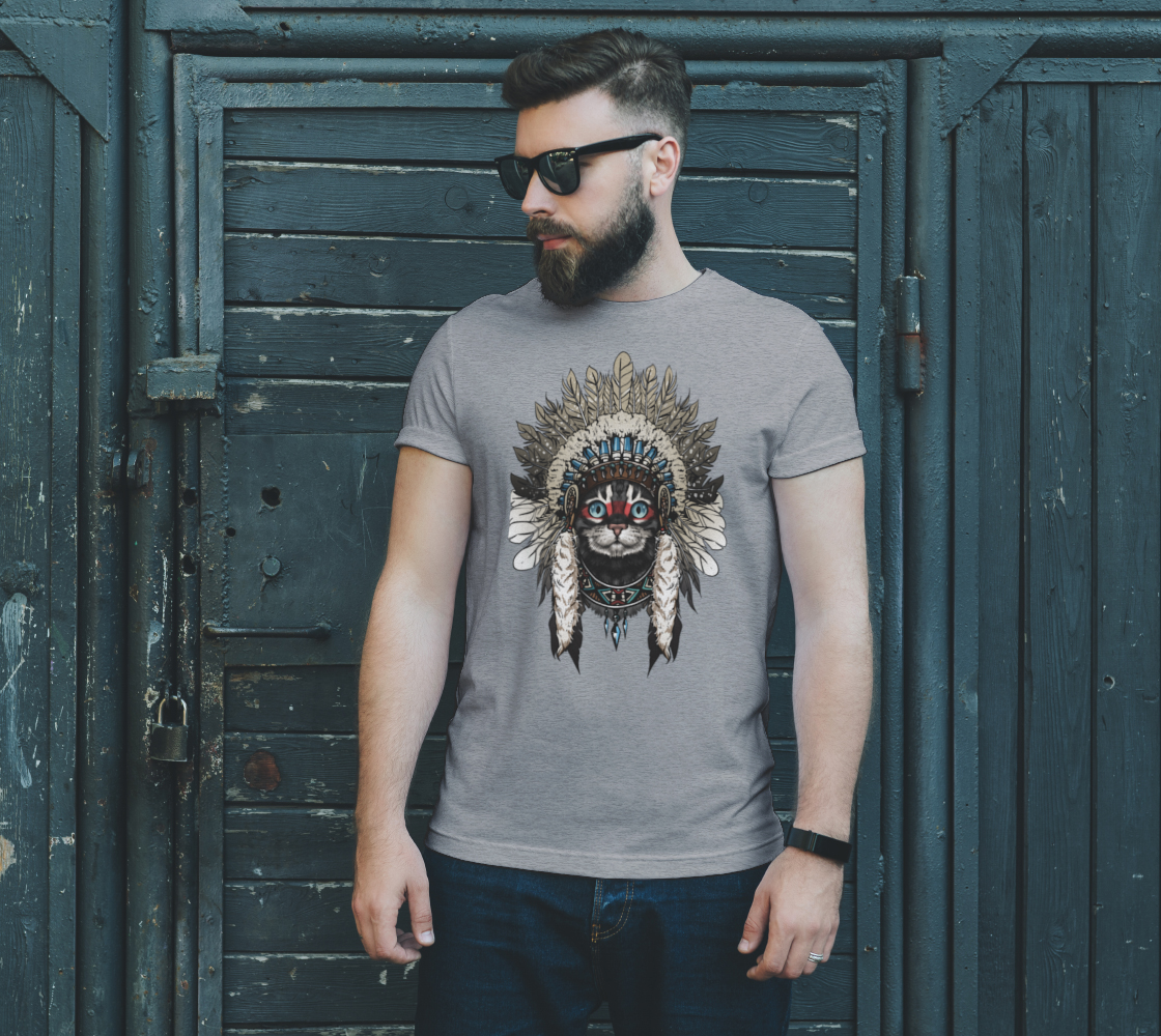 Сat in Indian warbonnet preview #2
