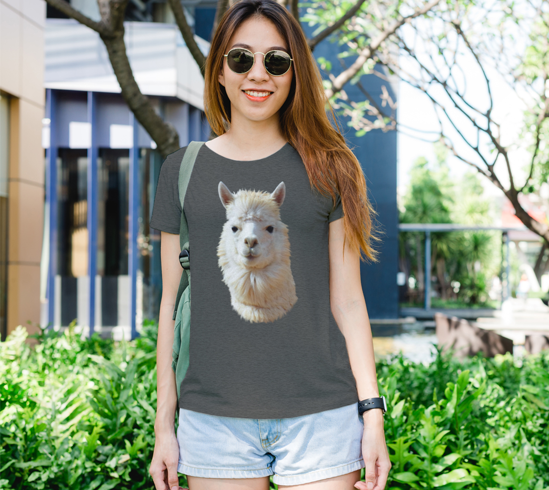 Alpaca preview #1