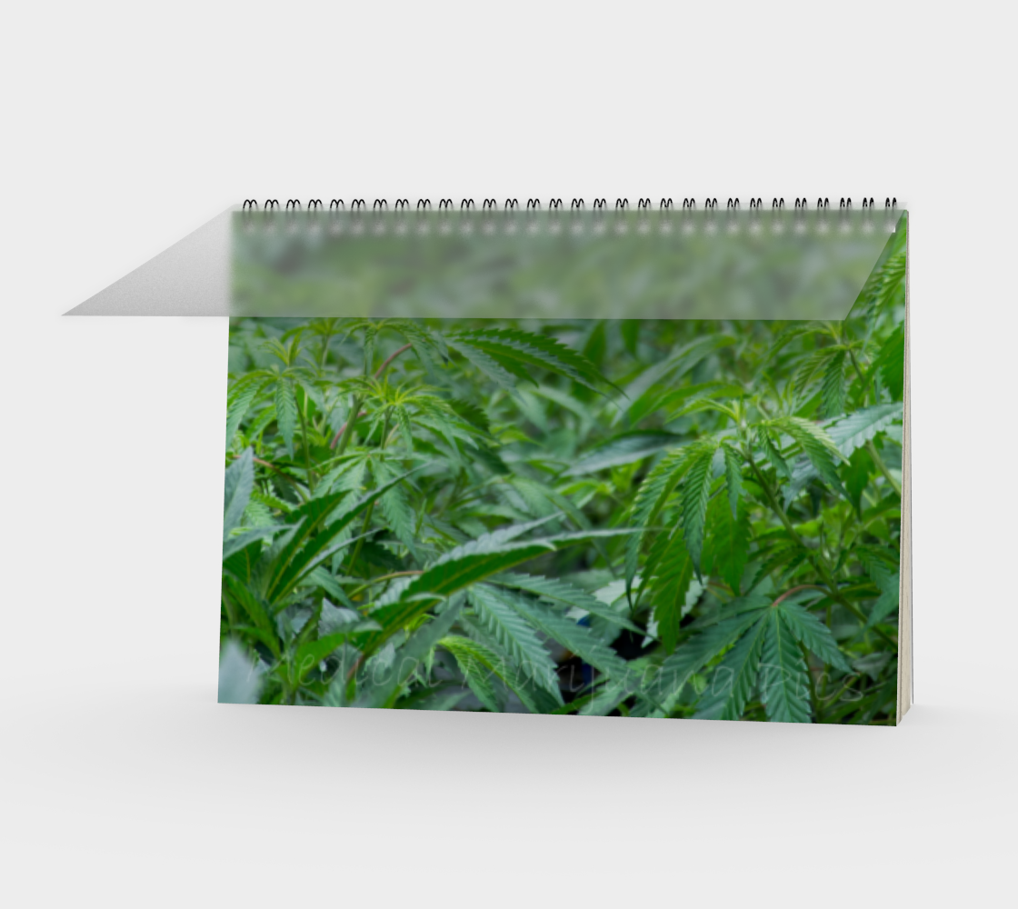 Field of Dreams Spiral Notebook preview