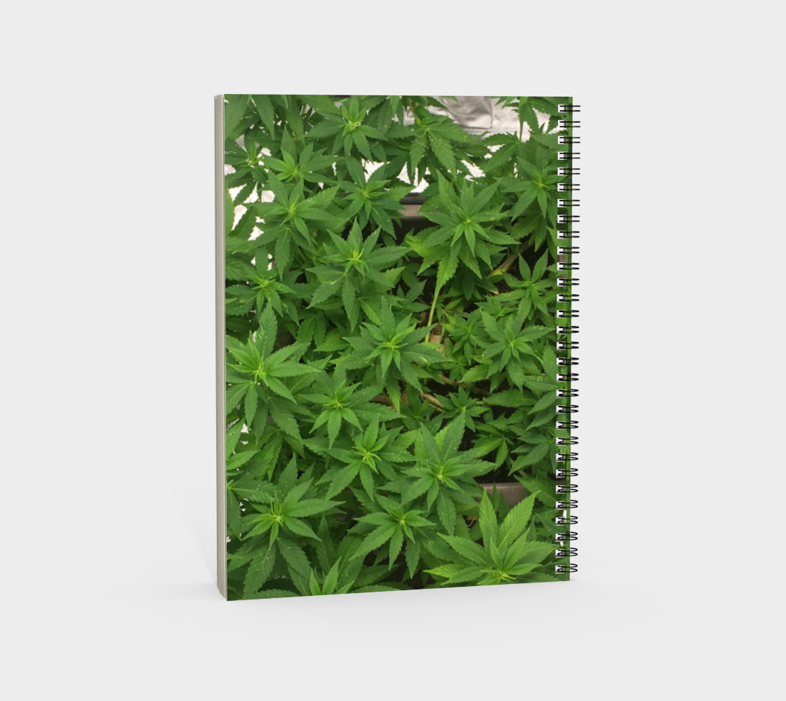 Canopy preview #4