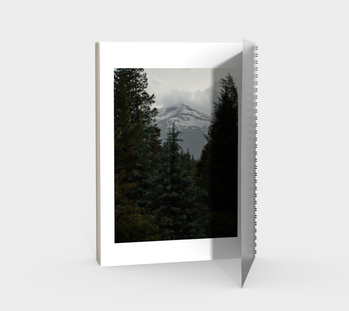 PhotoShop CommissonRequestFromJackWaldrip NaturePhotogrophyOfMountan and photoshopping of cover by h3video1RavenShadow preview #2