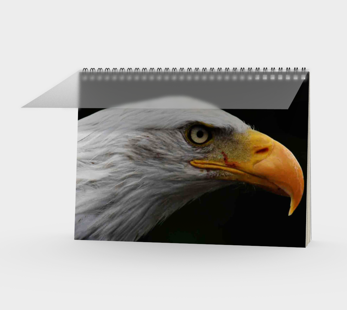 Bald Eagle Spiral Notebook preview