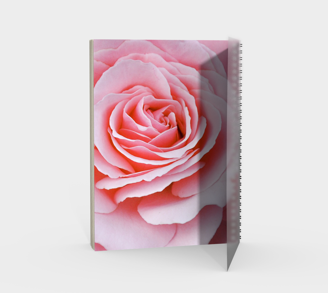 Beauty of the Rose preview #2