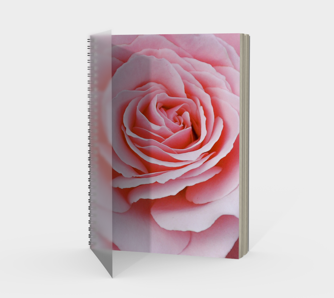 Beauty of the Rose preview