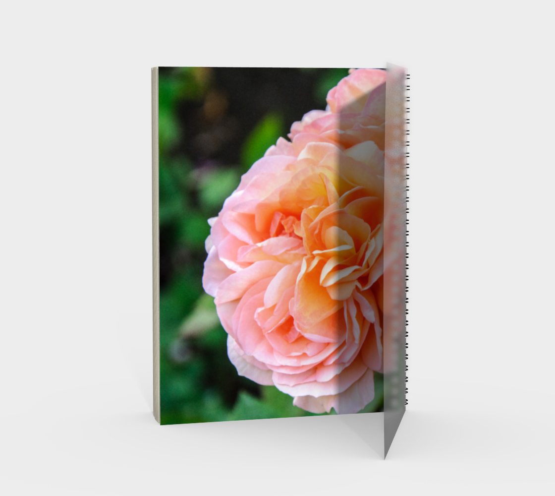 Happy Roses preview #2