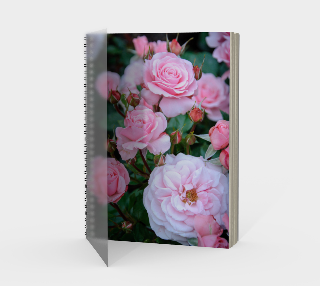 Joy of Roses preview #1