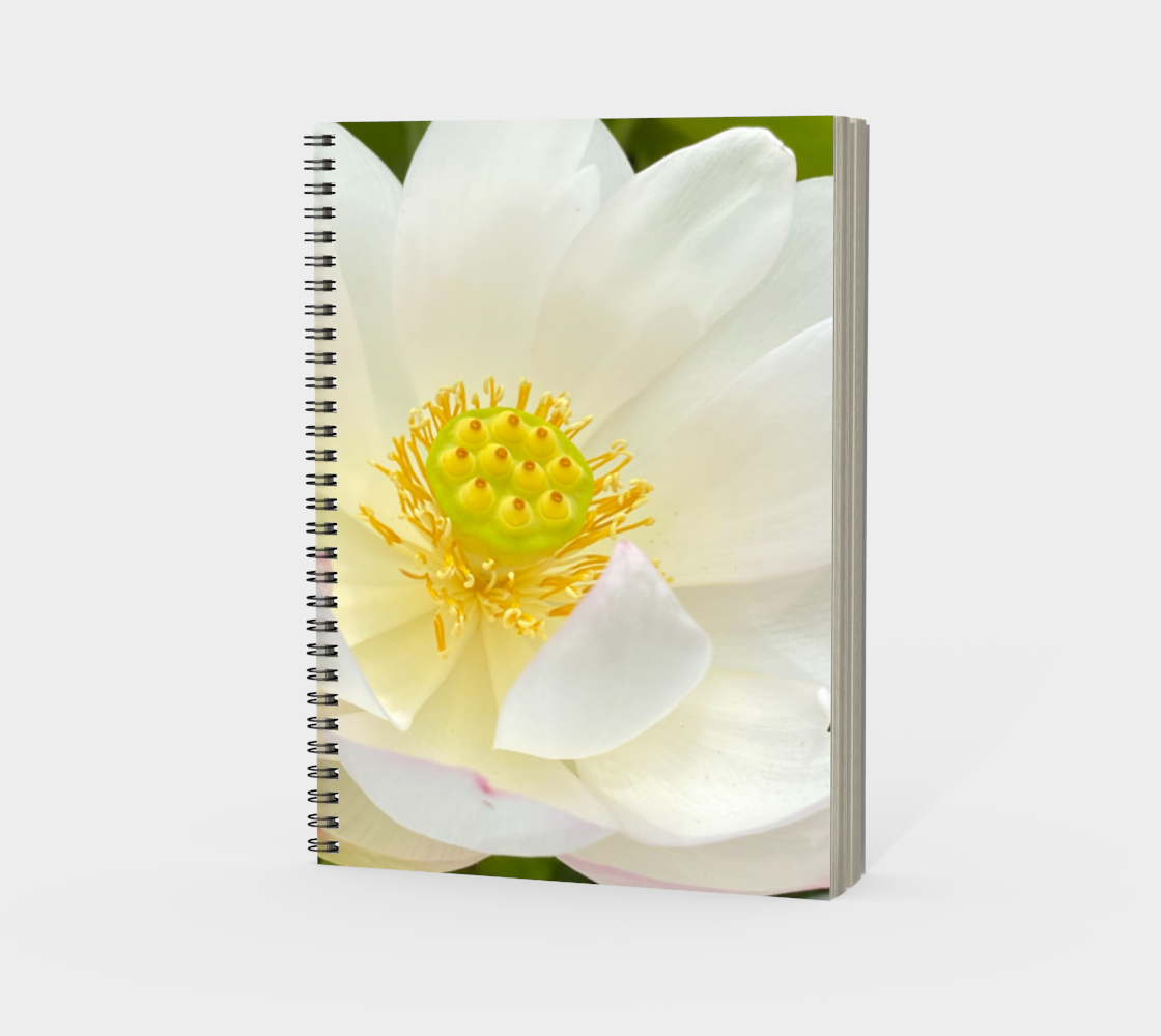 Water Lily Spiral Notebook thumbnail #4