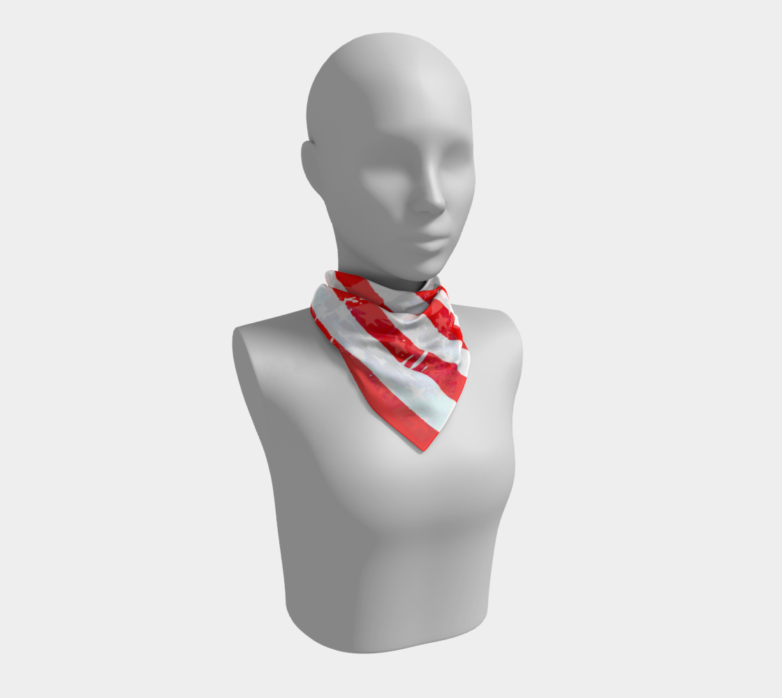 American Flag Scarf by VCD © preview