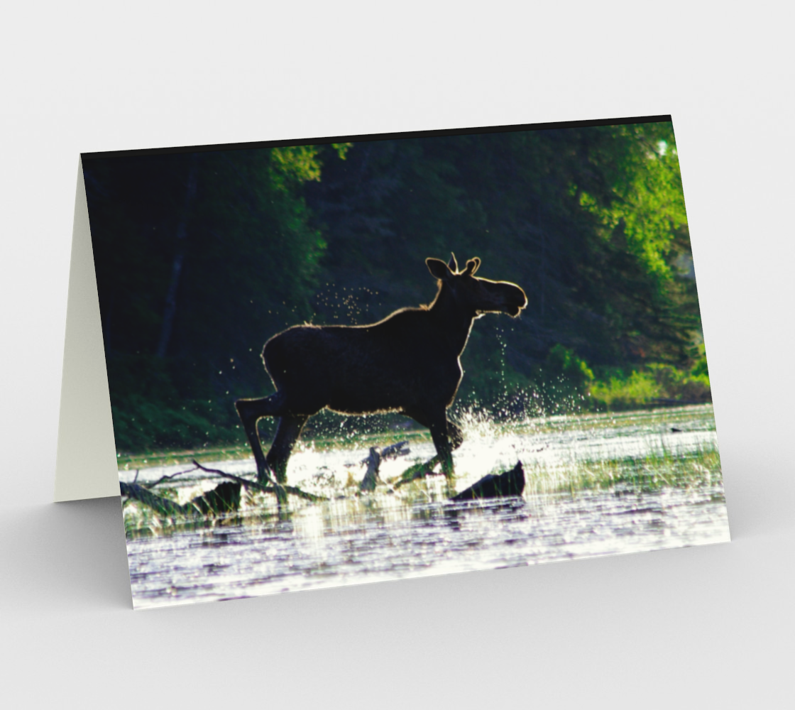 Aperçu de Splashy moose greeting card