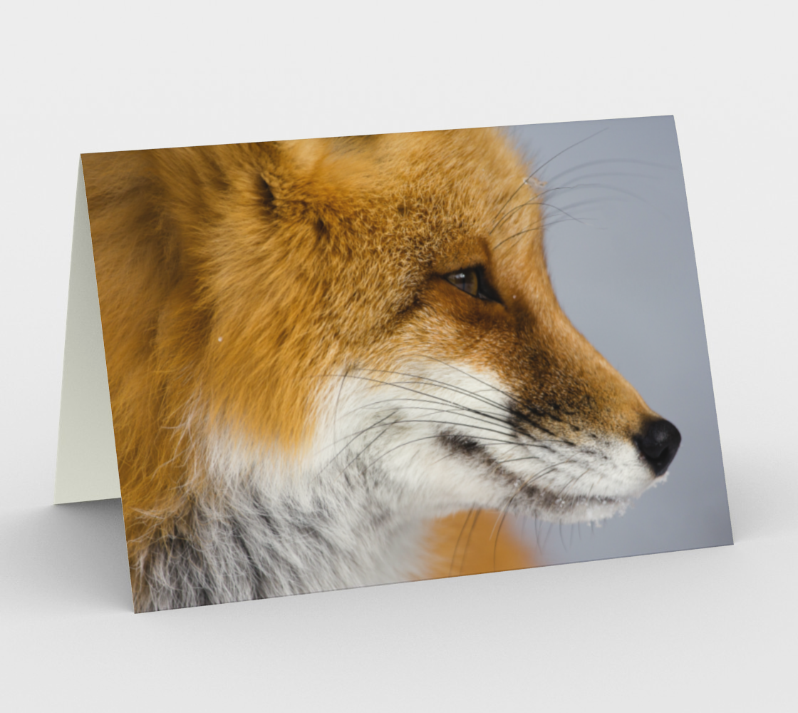 Aperçu de fox greeting card, set of 3