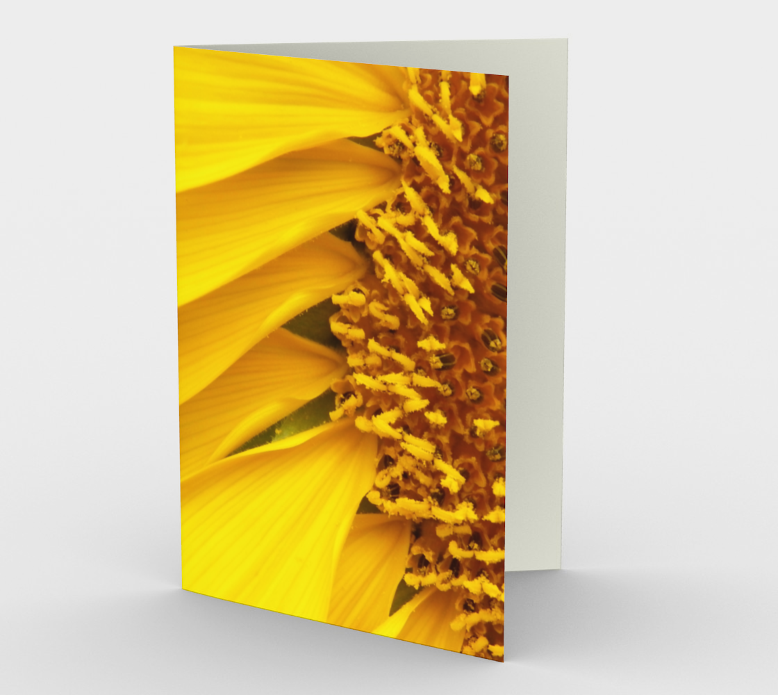 Sunflower Petals Card preview