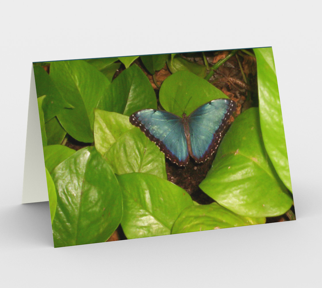 Blue Morpho Butterfly Greeting Card preview
