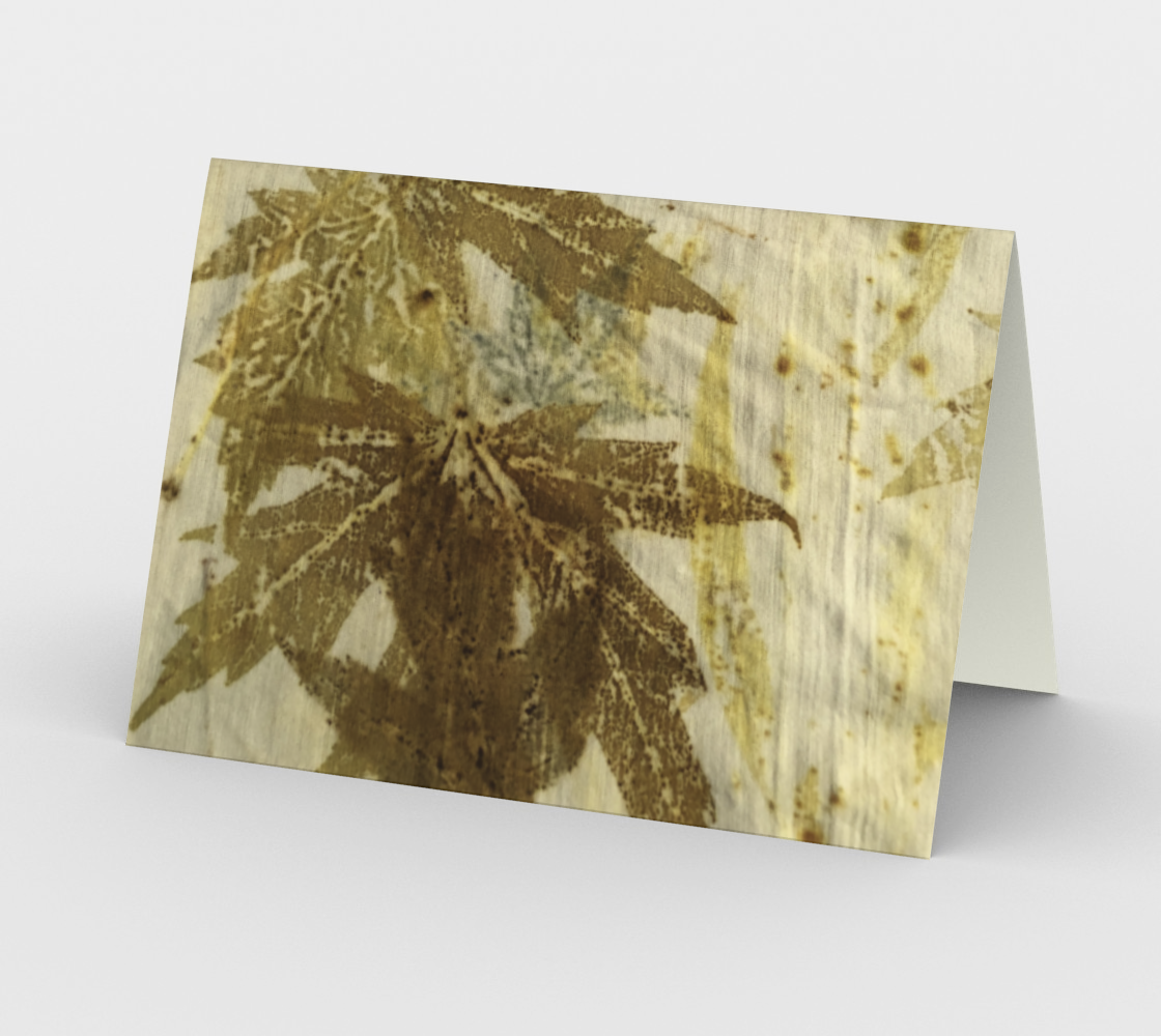 All maple preview #2
