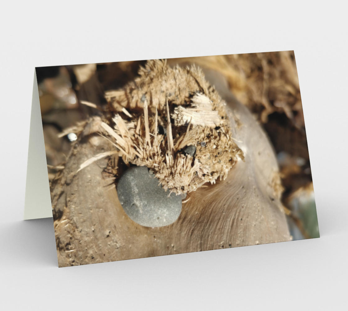 Notecards - Nature's Treasures 1 3D preview