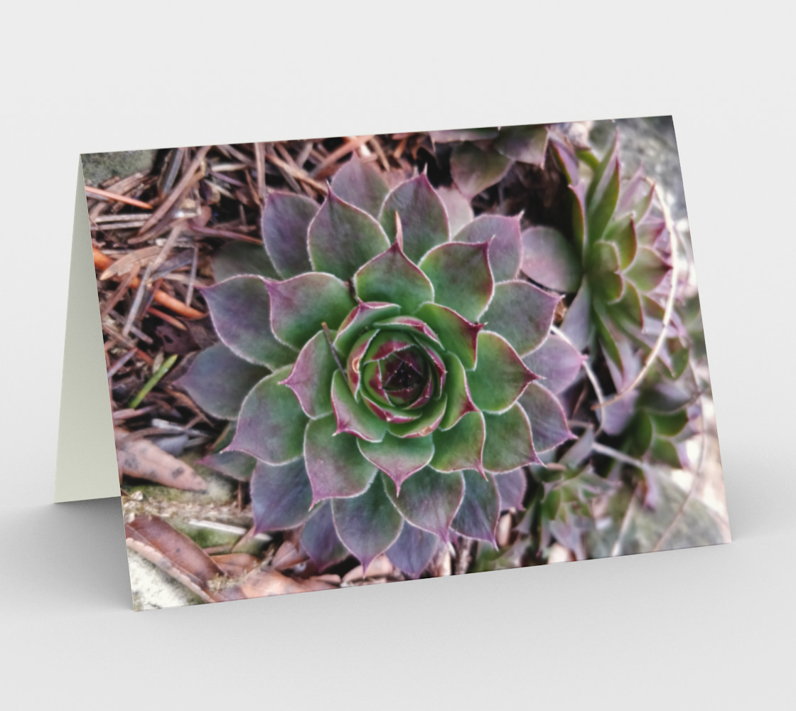Notecards - Botanica 1 preview