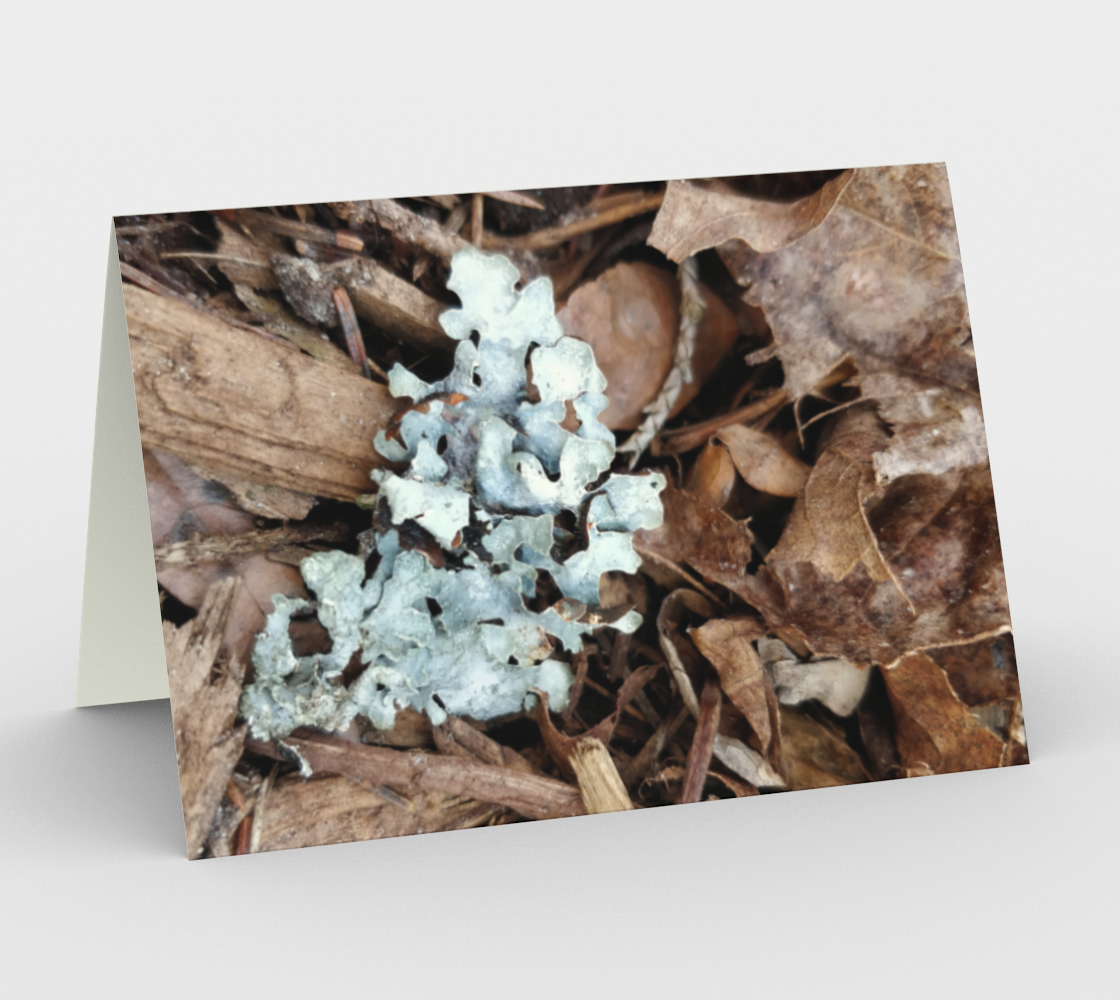 Notecards - Botanica 2 preview
