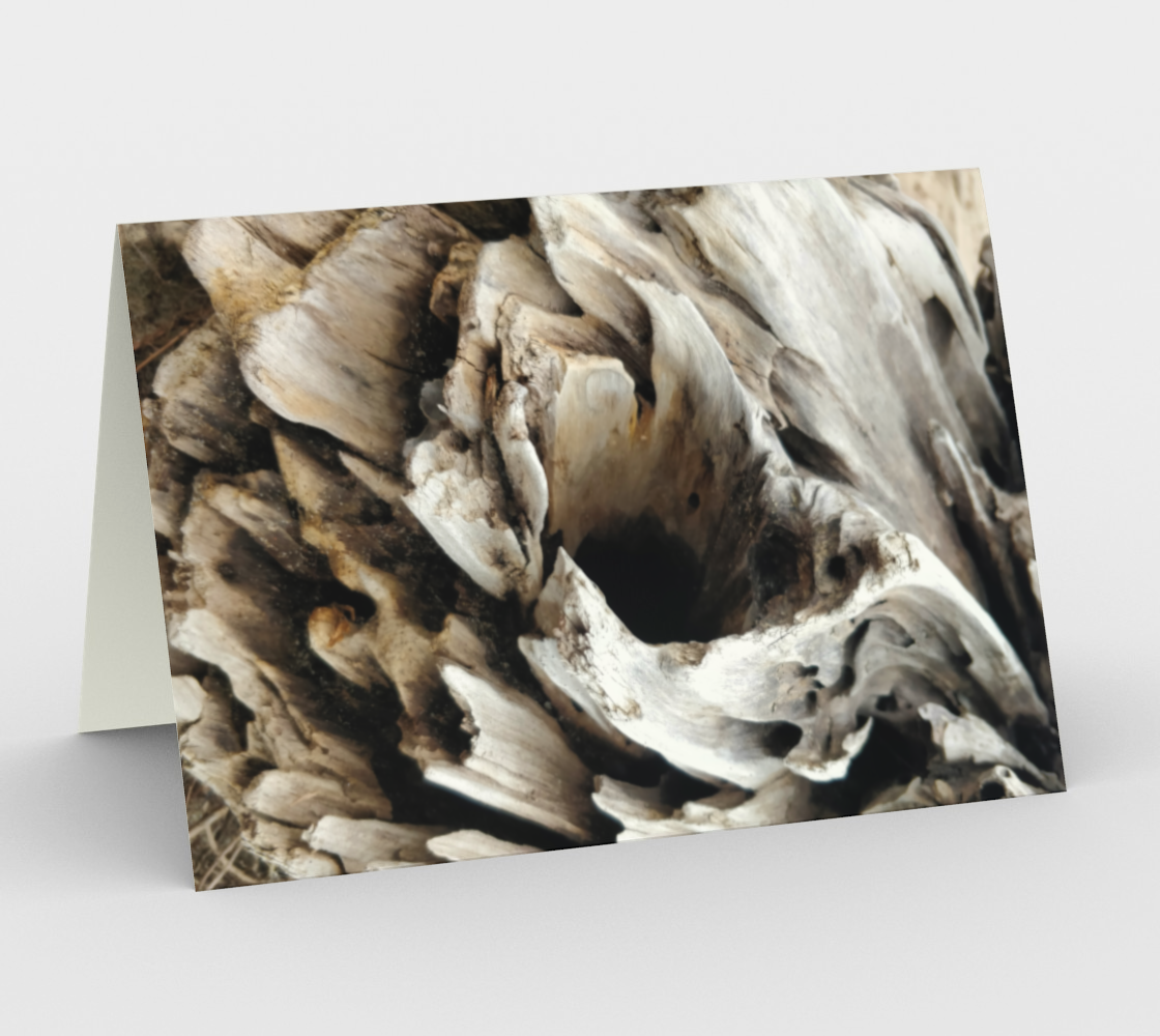 Notecards - Nature's Treasures 3 preview