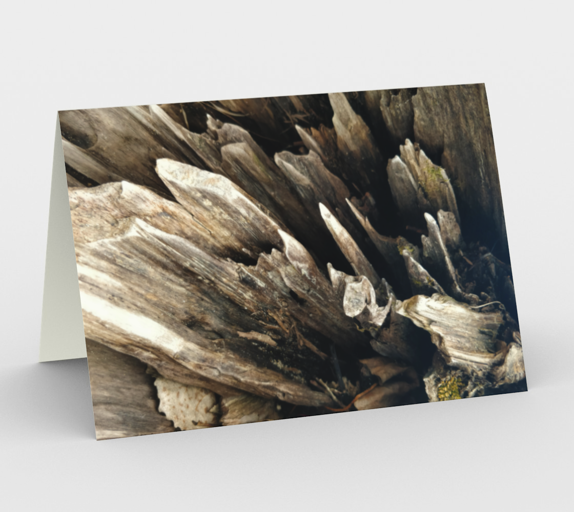Notecards - Nature's Treasures 4 preview #1
